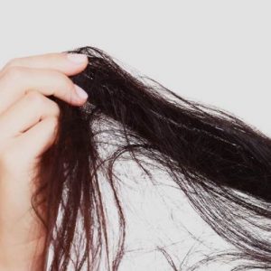 Normal / Oily Hair