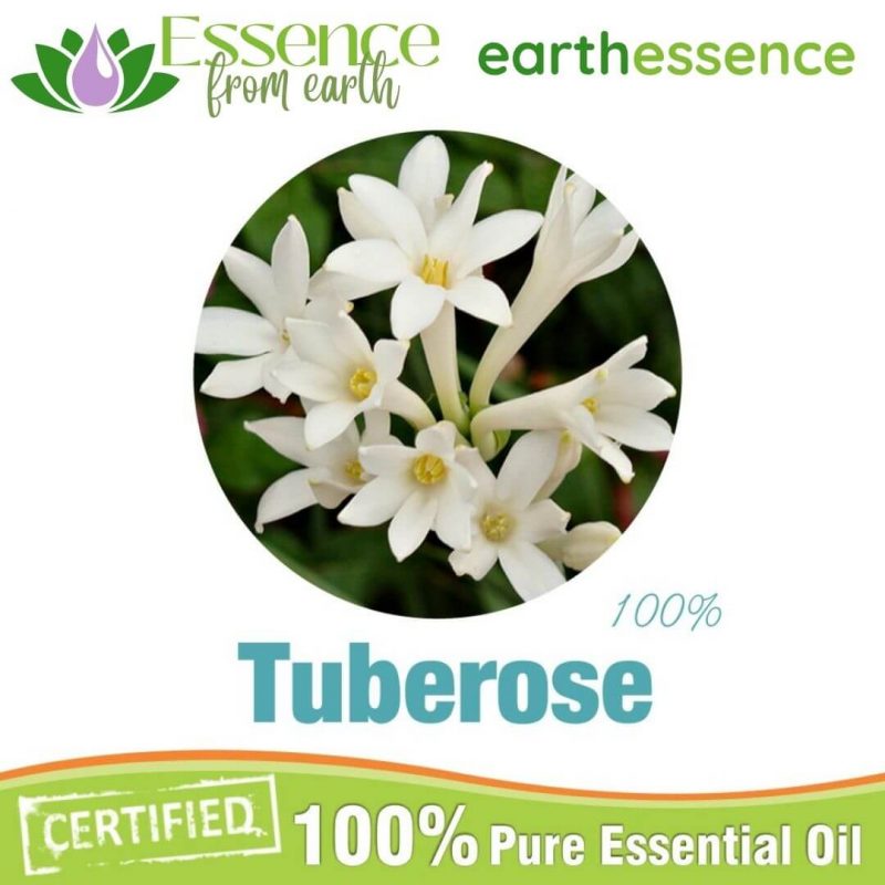 Tuberose Essential Oil Essence From Earth
