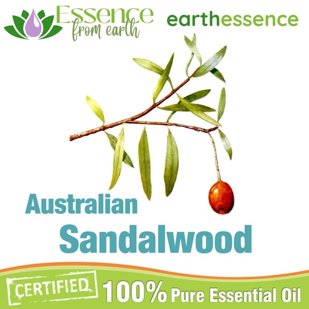 Sandalwood Essential Oil Australia